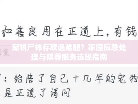 宠物尸体存放遇难题？家庭应急处理与殡葬服务选择指南