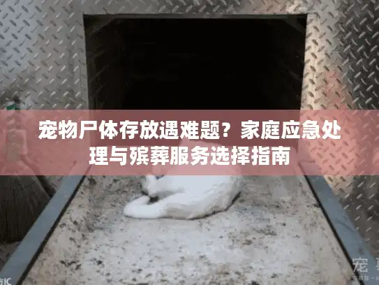 宠物尸体存放遇难题？家庭应急处理与殡葬服务选择指南