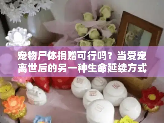 宠物尸体捐赠可行吗？当爱宠离世后的另一种生命延续方式