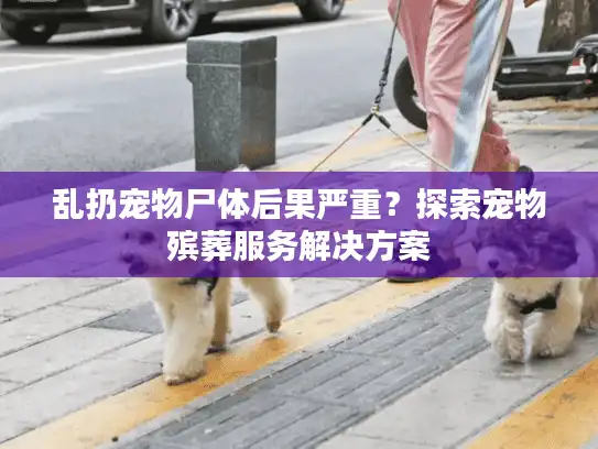 乱扔宠物尸体后果严重？探索宠物殡葬服务解决方案