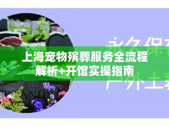 上海宠物殡葬服务全流程解析+开馆实操指南