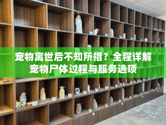 宠物离世后不知所措？全程详解宠物尸体过程与服务选项
