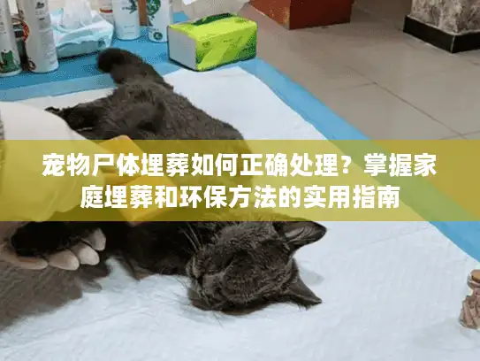 宠物尸体埋葬如何正确处理？掌握家庭埋葬和环保方法的实用指南