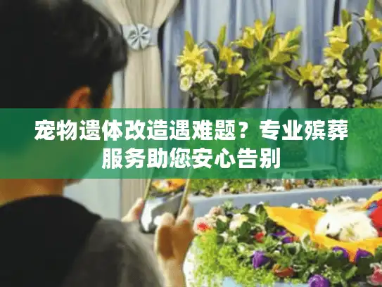 宠物遗体改造遇难题？专业殡葬服务助您安心告别