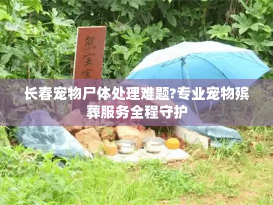 长春宠物尸体处理难题?专业宠物殡葬服务全程守护