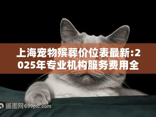 上海宠物殡葬价位表最新:2025年专业机构服务费用全解析