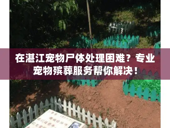 在湛江宠物尸体处理困难？专业宠物殡葬服务帮你解决！
