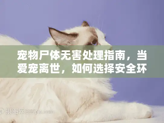 宠物尸体无害处理指南，当爱宠离世，如何选择安全环保的殡葬服务