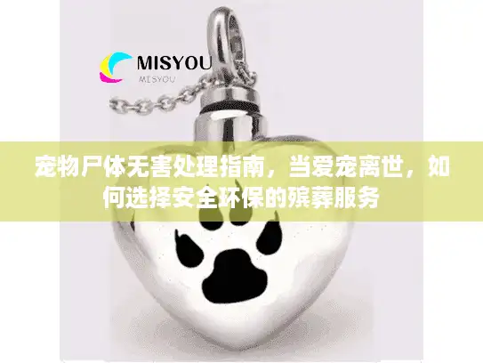 宠物尸体无害处理指南，当爱宠离世，如何选择安全环保的殡葬服务