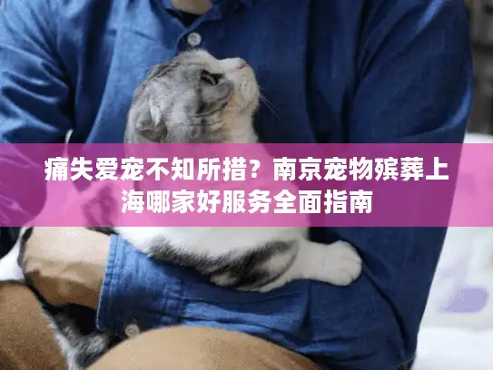 痛失爱宠不知所措？南京宠物殡葬上海哪家好服务全面指南