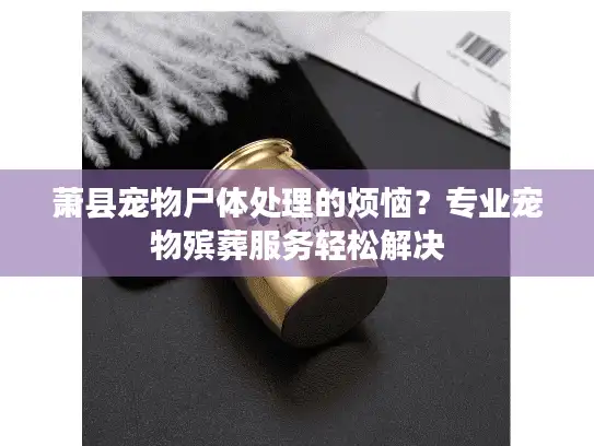 萧县宠物尸体处理的烦恼？专业宠物殡葬服务轻松解决