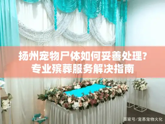 扬州宠物尸体如何妥善处理?专业殡葬服务解决指南