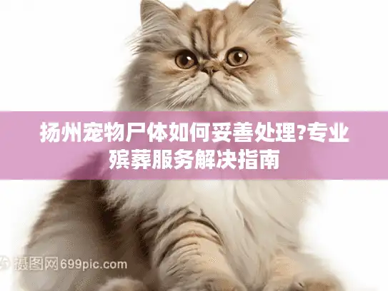 扬州宠物尸体如何妥善处理?专业殡葬服务解决指南