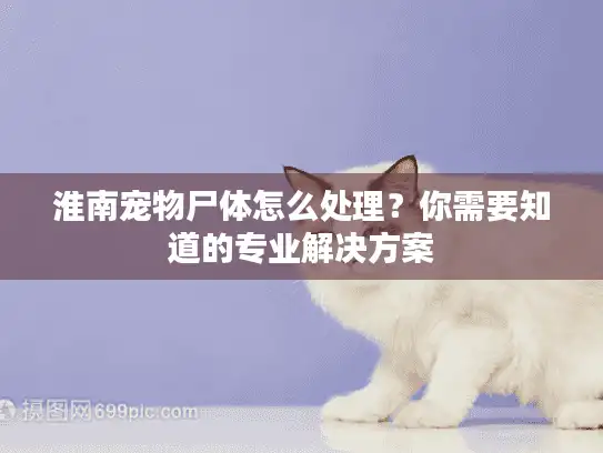 淮南宠物尸体怎么处理？你需要知道的专业解决方案