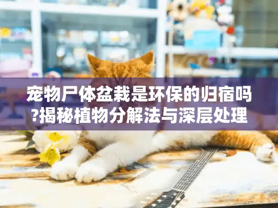 宠物尸体盆栽是环保的归宿吗?揭秘植物分解法与深层处理流程