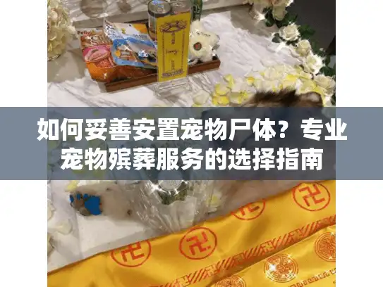 如何妥善安置宠物尸体？专业宠物殡葬服务的选择指南