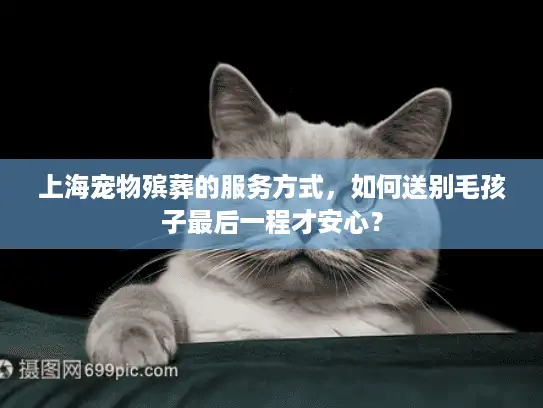 上海宠物殡葬的服务方式，如何送别毛孩子最后一程才安心？