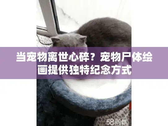 当宠物离世心碎？宠物尸体绘画提供独特纪念方式