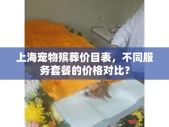 上海宠物殡葬价目表，不同服务套餐的价格对比？