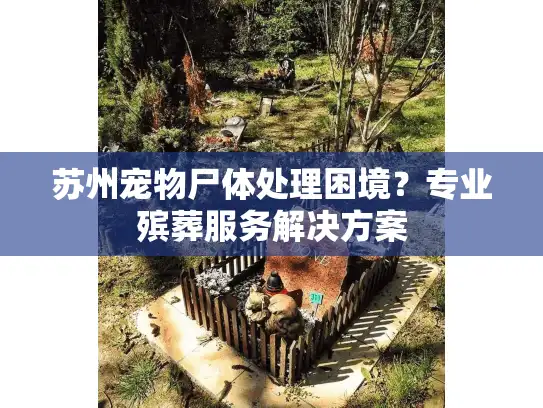 苏州宠物尸体处理困境？专业殡葬服务解决方案