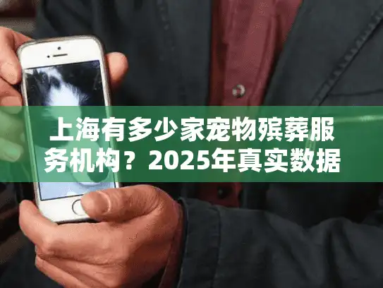 上海有多少家宠物殡葬服务机构？2025年真实数据解析