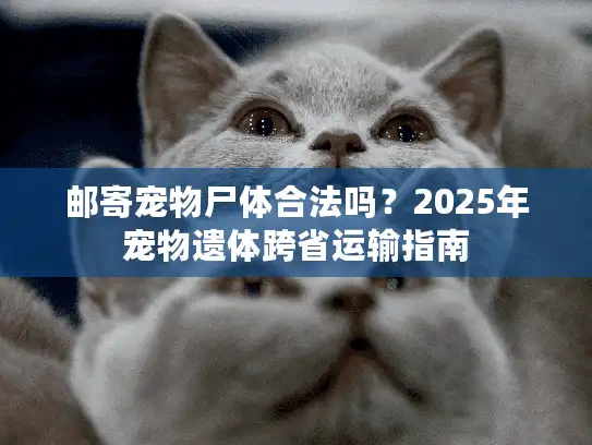邮寄宠物尸体合法吗？2025年宠物遗体跨省运输指南