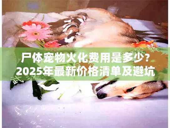 尸体宠物火化费用是多少?2025年最新价格清单及避坑指南