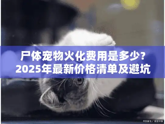 尸体宠物火化费用是多少?2025年最新价格清单及避坑指南