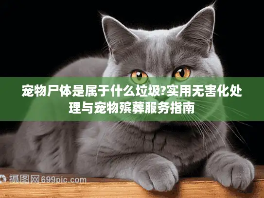 宠物尸体是属于什么垃圾?实用无害化处理与宠物殡葬服务指南