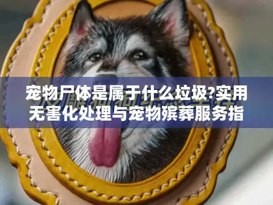 宠物尸体是属于什么垃圾?实用无害化处理与宠物殡葬服务指南