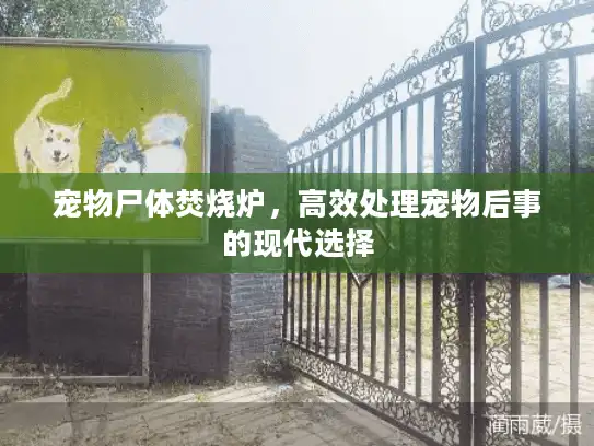 宠物尸体焚烧炉，高效处理宠物后事的现代选择