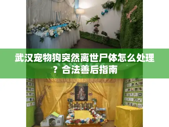 武汉宠物狗突然离世尸体怎么处理？合法善后指南