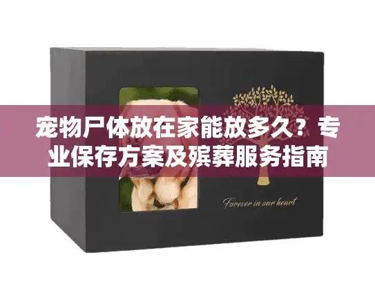 宠物尸体放在家能放多久？专业保存方案及殡葬服务指南