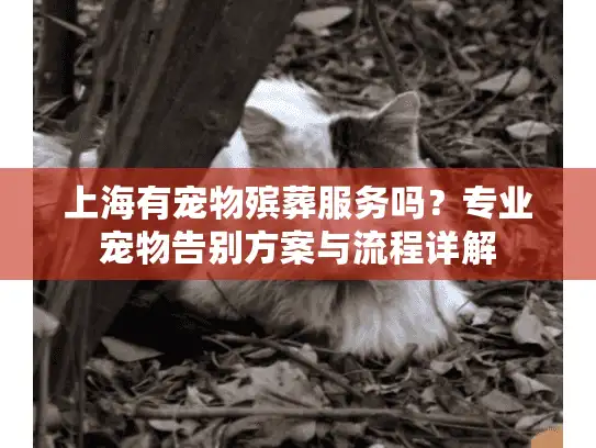 上海有宠物殡葬服务吗？专业宠物告别方案与流程详解