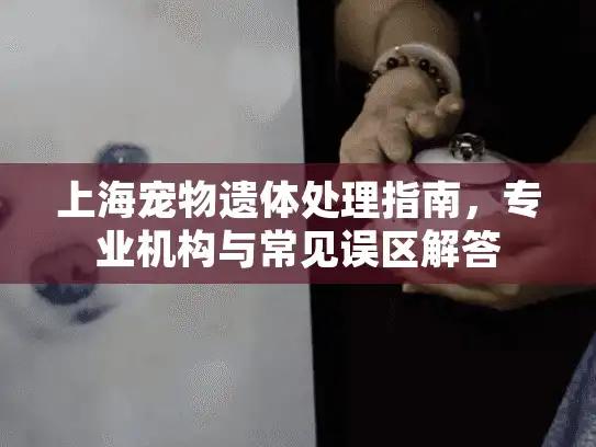 上海宠物遗体处理指南，专业机构与常见误区解答