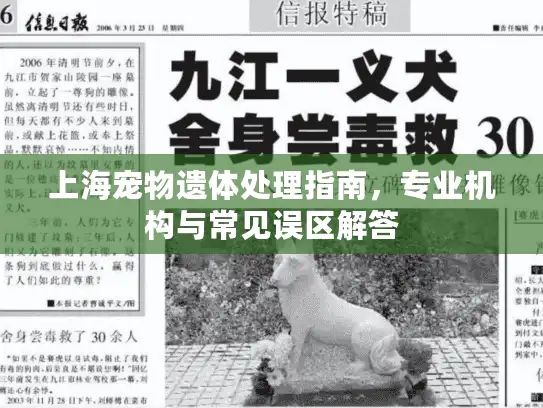 上海宠物遗体处理指南，专业机构与常见误区解答