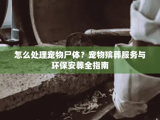 怎么处理宠物尸体？宠物殡葬服务与环保安葬全指南