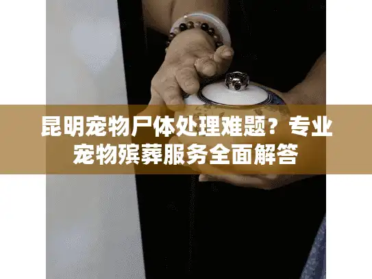 昆明宠物尸体处理难题？专业宠物殡葬服务全面解答