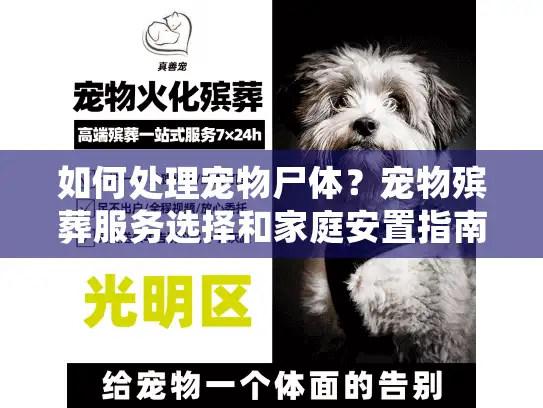如何处理宠物尸体？宠物殡葬服务选择和家庭安置指南