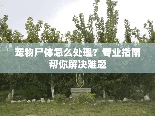 宠物尸体怎么处理？专业指南帮你解决难题