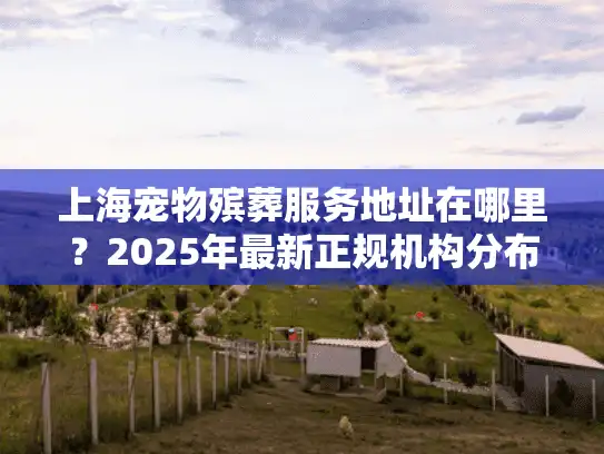 上海宠物殡葬服务地址在哪里？2025年最新正规机构分布地图