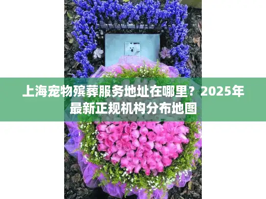 上海宠物殡葬服务地址在哪里？2025年最新正规机构分布地图