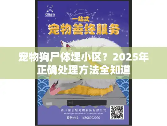 宠物狗尸体埋小区？2025年正确处理方法全知道