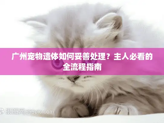 广州宠物遗体如何妥善处理？主人必看的全流程指南