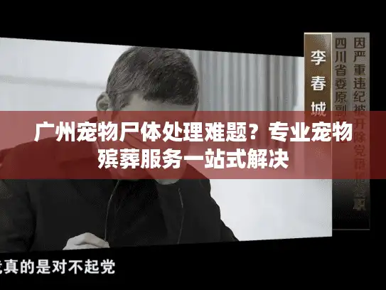 广州宠物尸体处理难题？专业宠物殡葬服务一站式解决
