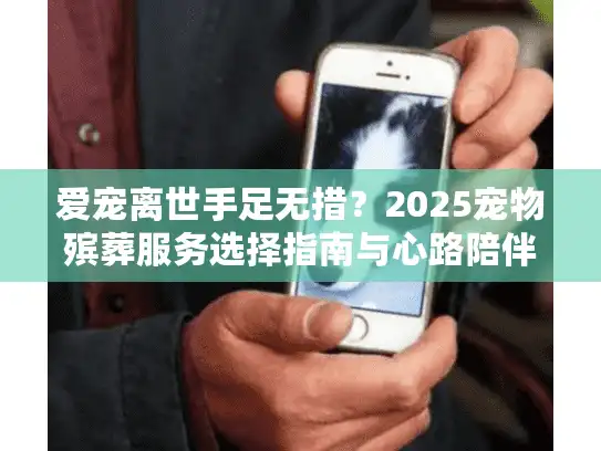 爱宠离世手足无措？2025宠物殡葬服务选择指南与心路陪伴