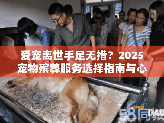 爱宠离世手足无措？2025宠物殡葬服务选择指南与心路陪伴