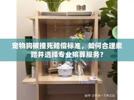 宠物狗被撞死赔偿标准，如何合理索赔并选择专业殡葬服务？
