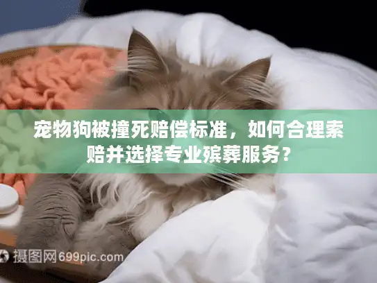 宠物狗被撞死赔偿标准，如何合理索赔并选择专业殡葬服务？