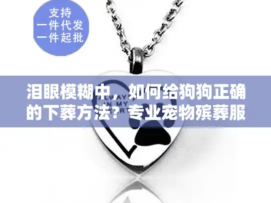 泪眼模糊中，如何给狗狗正确的下葬方法？专业宠物殡葬服务指南